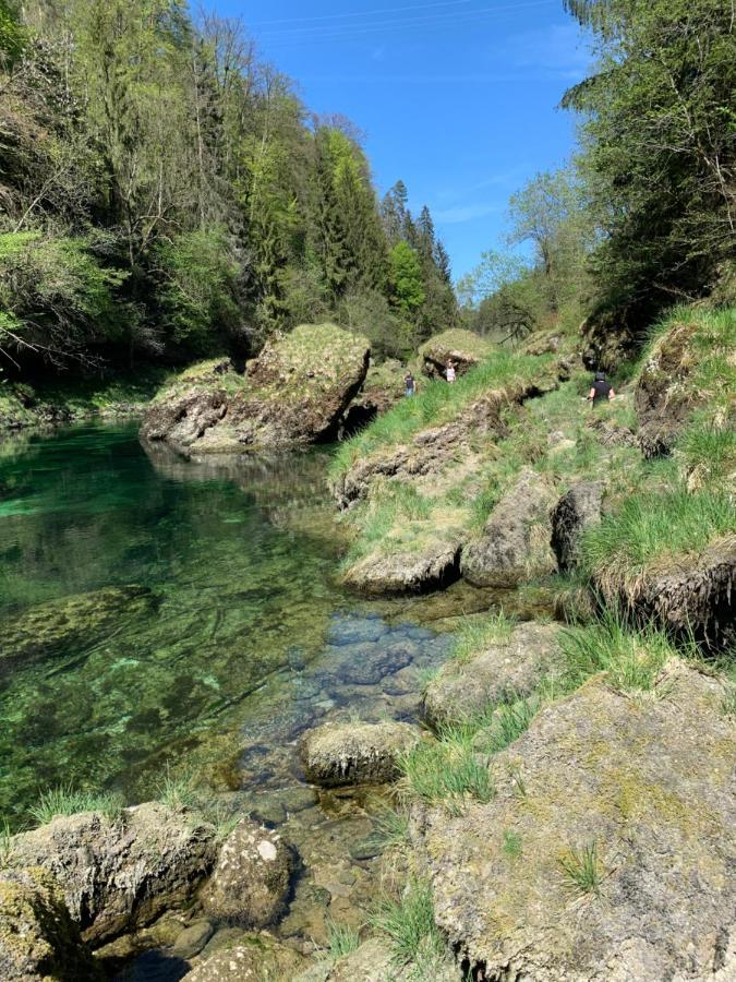 Ferienhaeuschen Am Traunsee Mit Tretboot Zur Freien Nutzung Am Badeplatz Altmünster Zewnętrze zdjęcie