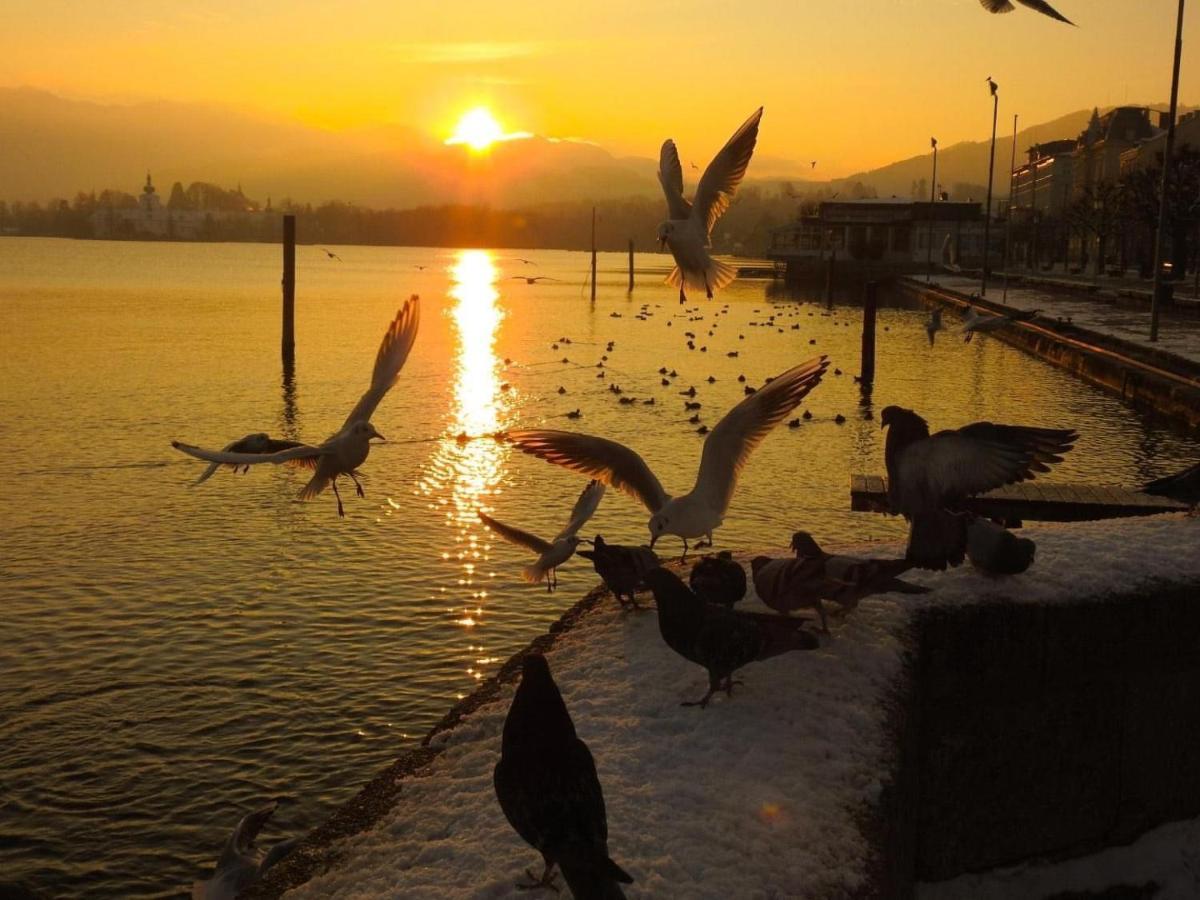 Ferienhaeuschen Am Traunsee Mit Tretboot Zur Freien Nutzung Am Badeplatz Altmünster Zewnętrze zdjęcie