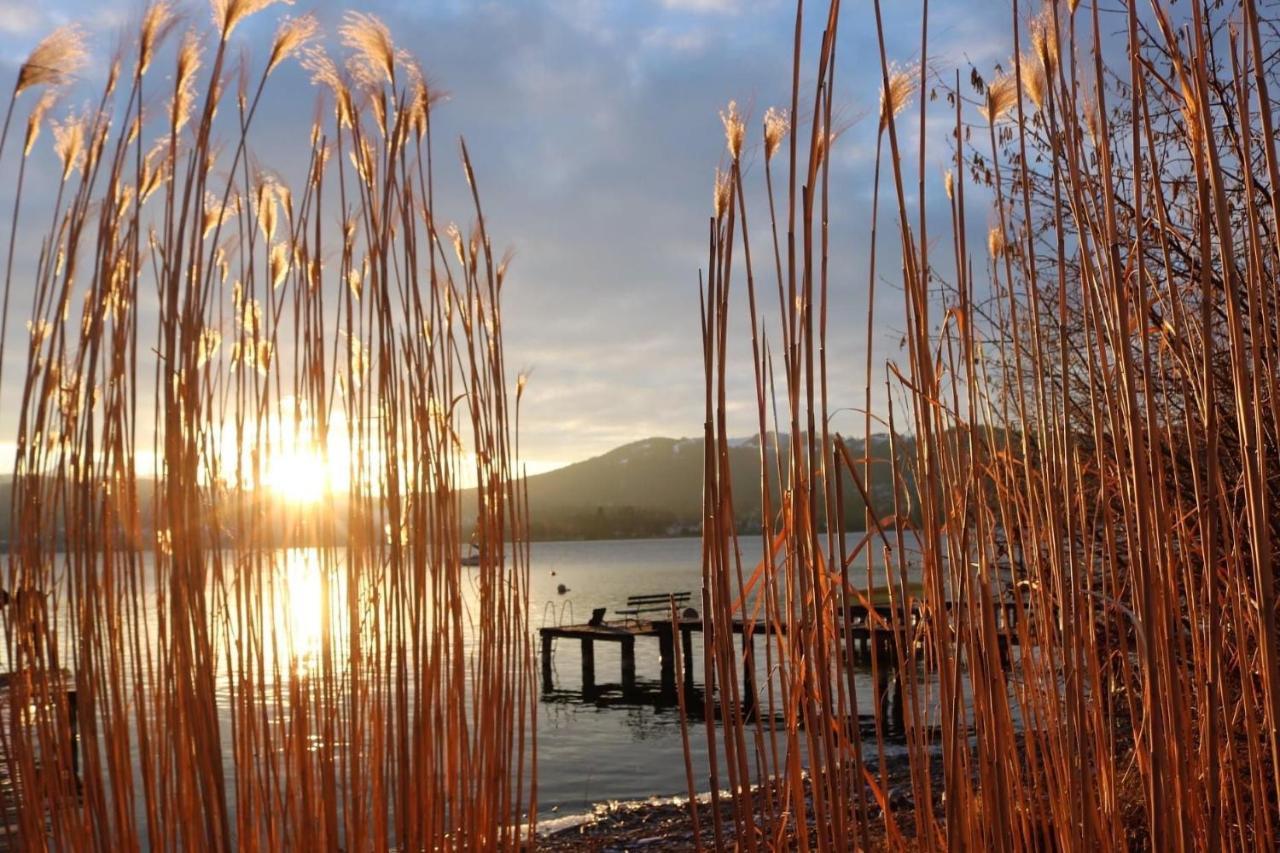 Ferienhaeuschen Am Traunsee Mit Tretboot Zur Freien Nutzung Am Badeplatz Altmünster Zewnętrze zdjęcie